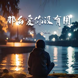 那么爱你没有用