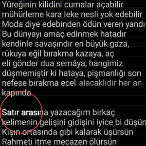 Satır Arası