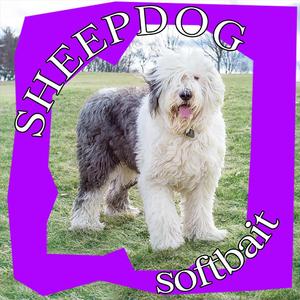 Sheepdog
