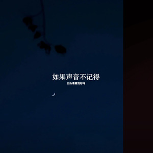 如果声音不记得 回头看看我好吗 (remix)