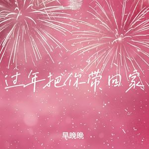 过年把你带回家 (风飘零 雪似花)