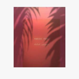 Habibi Funk