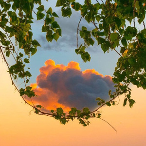 旧人又相逢（无鼓）