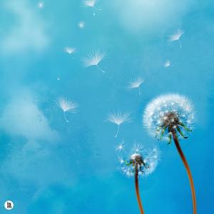 바오밥 나무의 추억