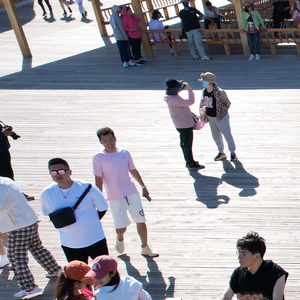 雪怕太阳草怕霜