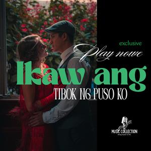 Ikaw ang tibok ng puso ko