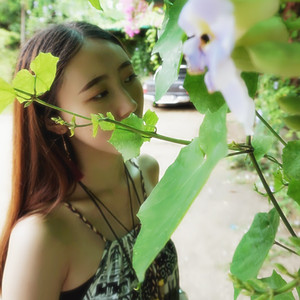 琼花房（Cover 胡碧乔）