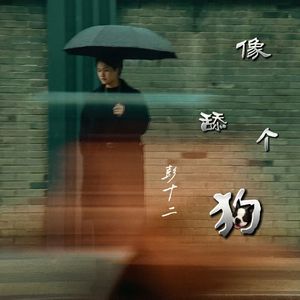 像个舔狗（伴奏）