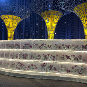 为何让我流泪为何让我心碎_山涧旁的小生