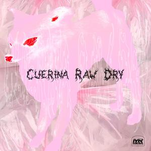 De Vuelta a la Raíz