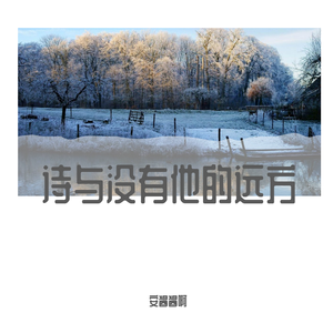 诗与没有他的远方