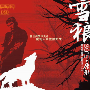 你的柔情我永远不懂