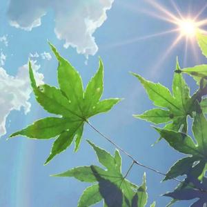 小欧的科学算数