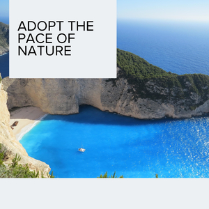 Rustling of the Leaves