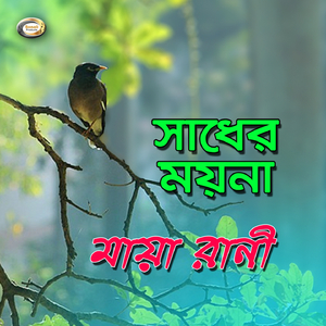 Amay Tumi Bhuliyo Na