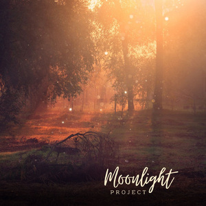 Moonlight in the Jungle