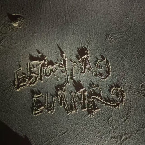 后来我没找到那片海