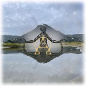 Electra Transmission 26