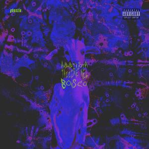 AGGIUSTA TAZZINE DEL BOSCO