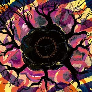 The Saga of the Mesmerising Giant Mimosa