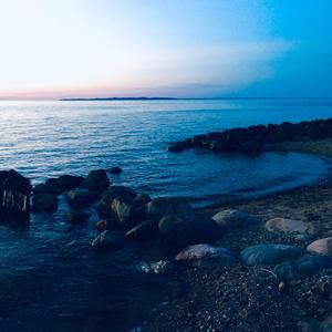 The Mermaid