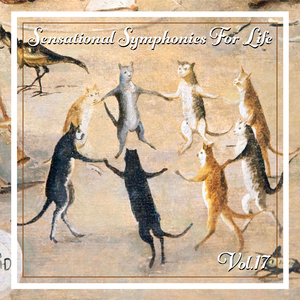 Symphony In B Minor: III. Presto