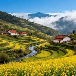 风又吹过眼里的愁 (Cover 归来小易)