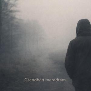 Csendben maradtam