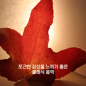 쿨라우 - 소나티네 1번 작품번호 20-2악장