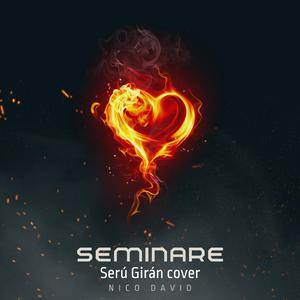 Seminare (Versión Acústica)