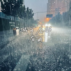 城市局部有雨(伴奏)