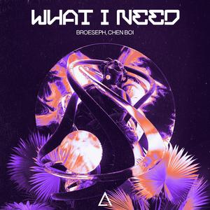 What I Need (Extended Mix)