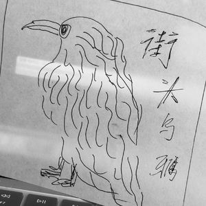 街头乌鸦