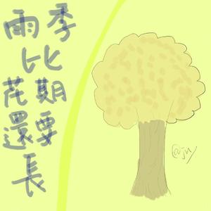 雨季比花期还要长