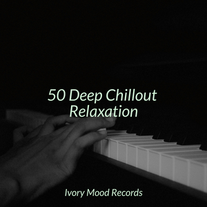 Tranquil Heights Echo