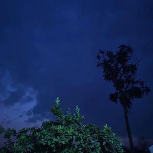 各花各有各花香