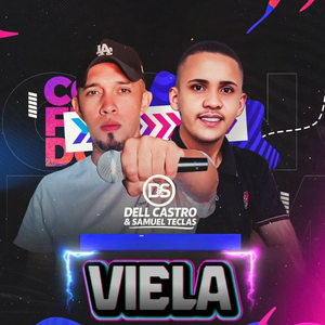 Viela