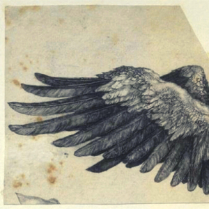 Silvaticus / Sunrise (Live)