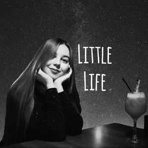 Little Life