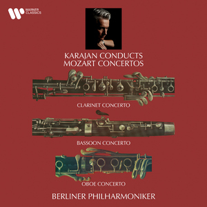 Oboe Concerto in C Major, K. 314:II. Adagio non troppo