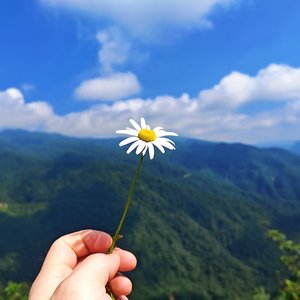 @也许-月半小夜曲