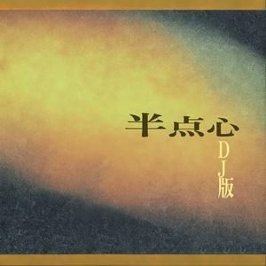 半点心 (DJ纯享版)