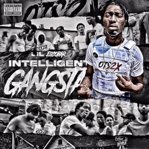 Intelligent Gangsta