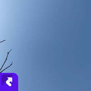 菇凉你就像 (现场)