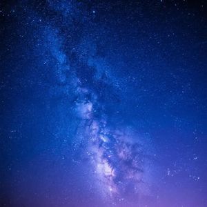 夜风轻抚松林