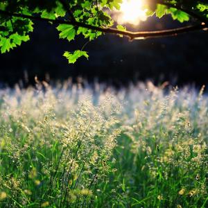 看得最远的地方