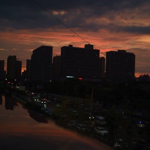 野人（抖音热播版）