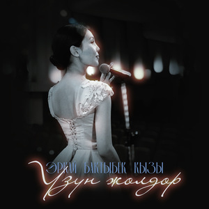 Узун жолдор