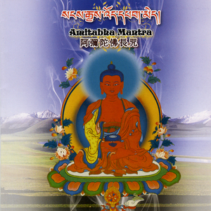 释迦牟尼佛心咒