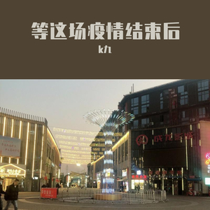 等这场疫情结束后完整版